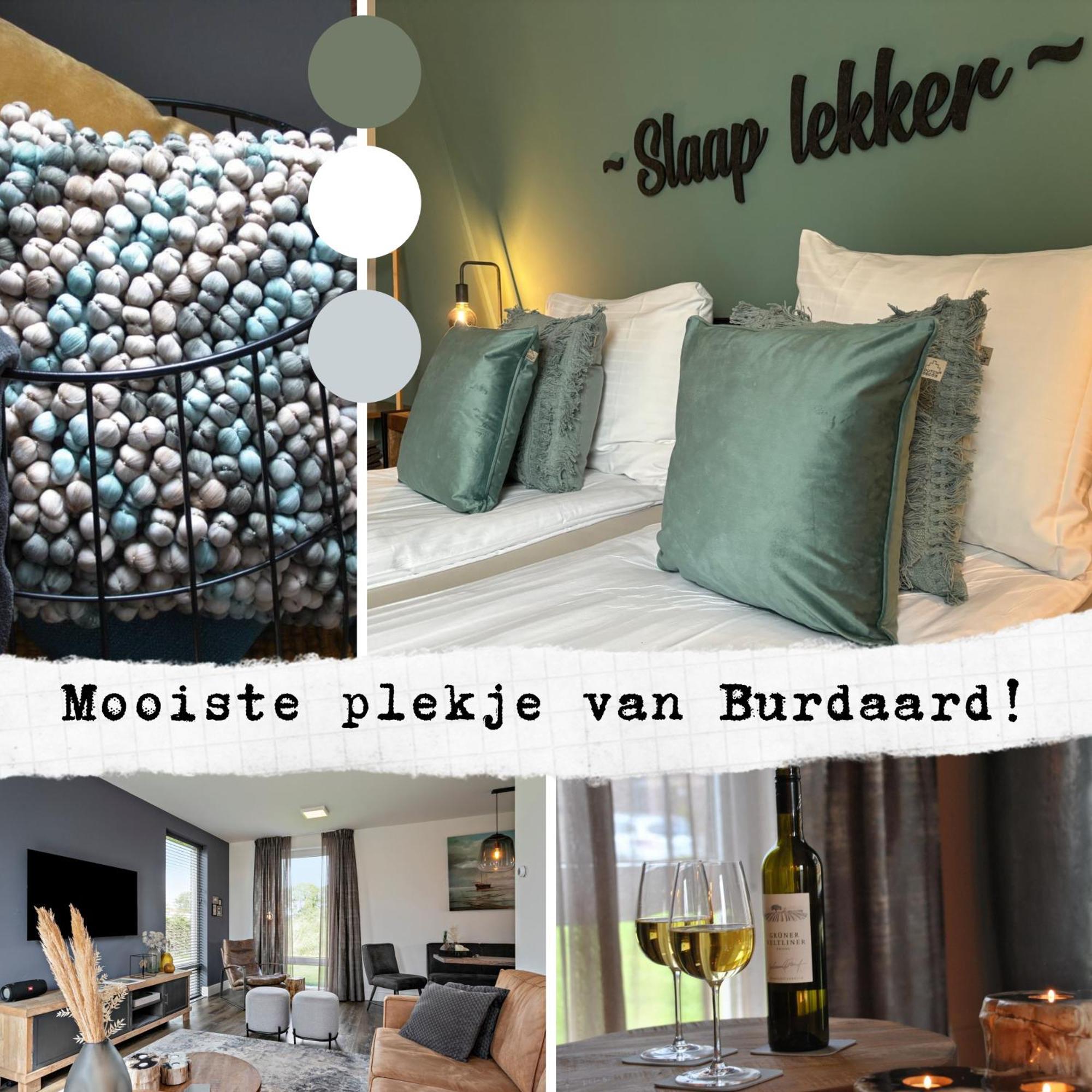 Prachtige Vakantievilla Burdaard Birdaard Extérieur photo